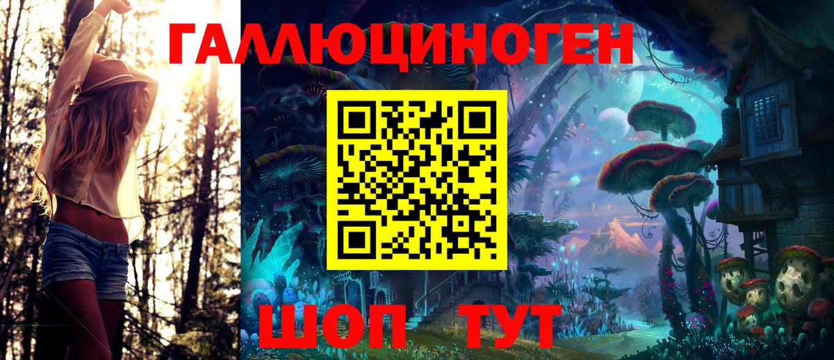 Псилоцибиновые грибы Psilocybe Шебекино