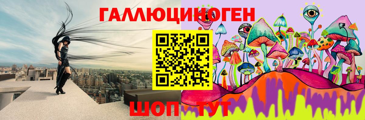 купить наркоту  Вход с VPN  Шебекино  Галлюциногенные грибы мицелий 